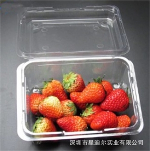 水果羞羞视频在线看免费